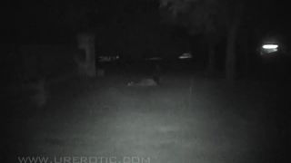Online Video voyeur