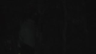 Online Porn public sex