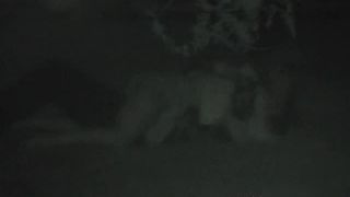 Collection of voyeur